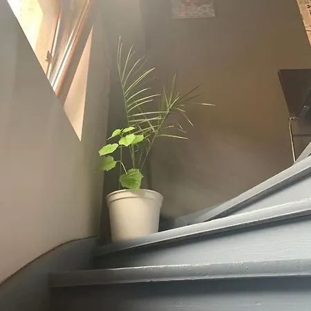 Trakia Street Apartment *