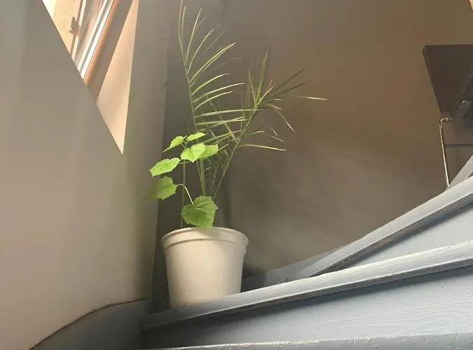 Trakia Street Apartment *