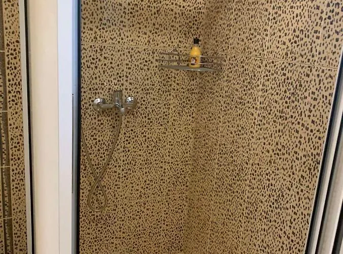 Trakia Street 公寓 普罗夫迪夫